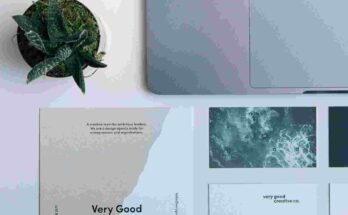 Professional portfolio showcasing creative work and skill to attract potential client.